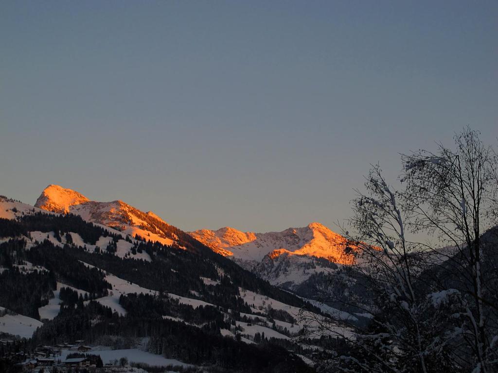 Haus Schatz