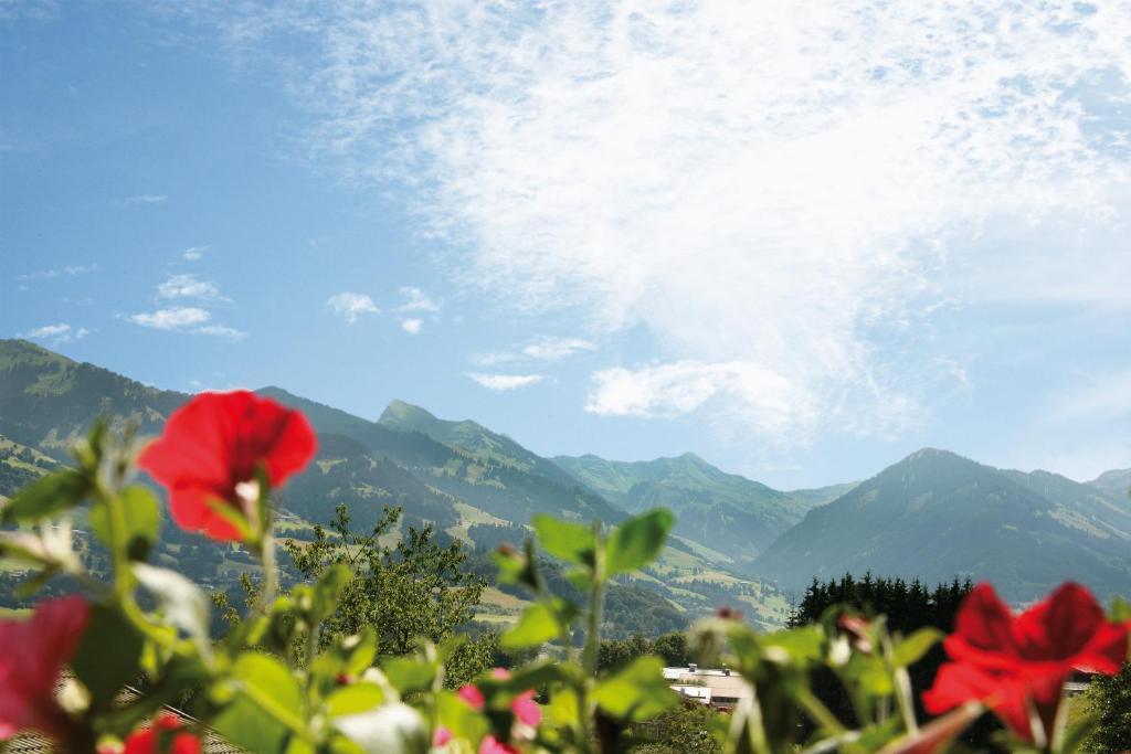 Apartment Haus Schatz Kitzbuhel